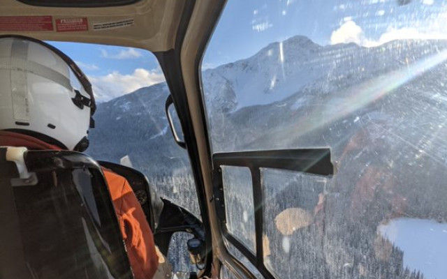 Environmental Services