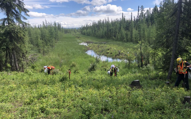 Forestry & Land Management